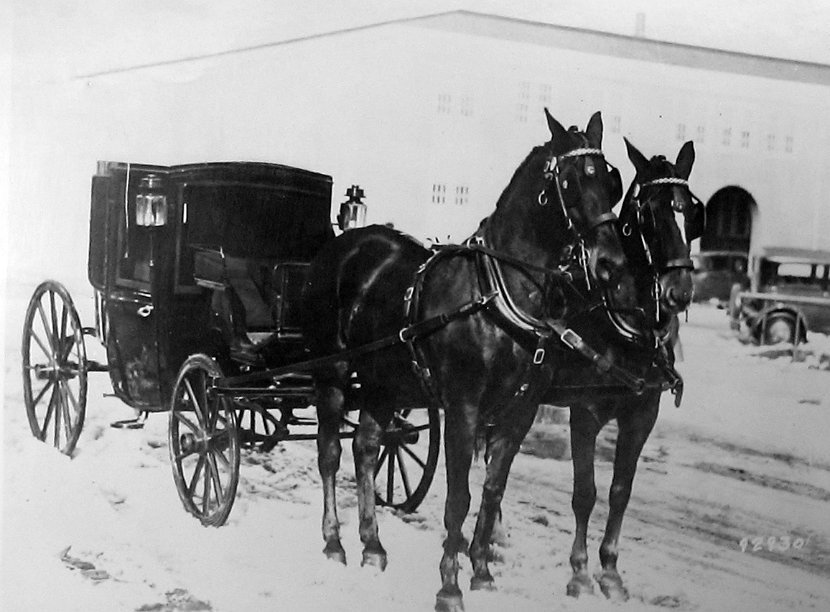 Old White House Carriage