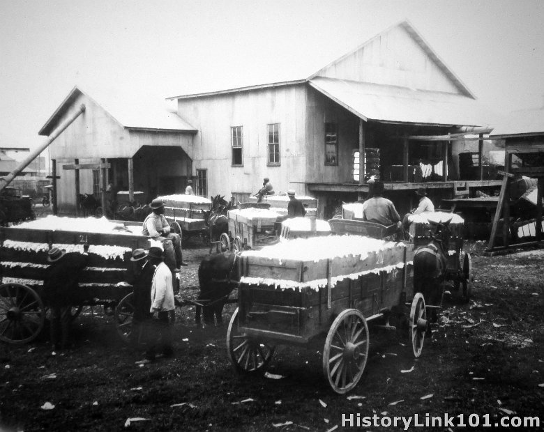 Community Cotton Gin