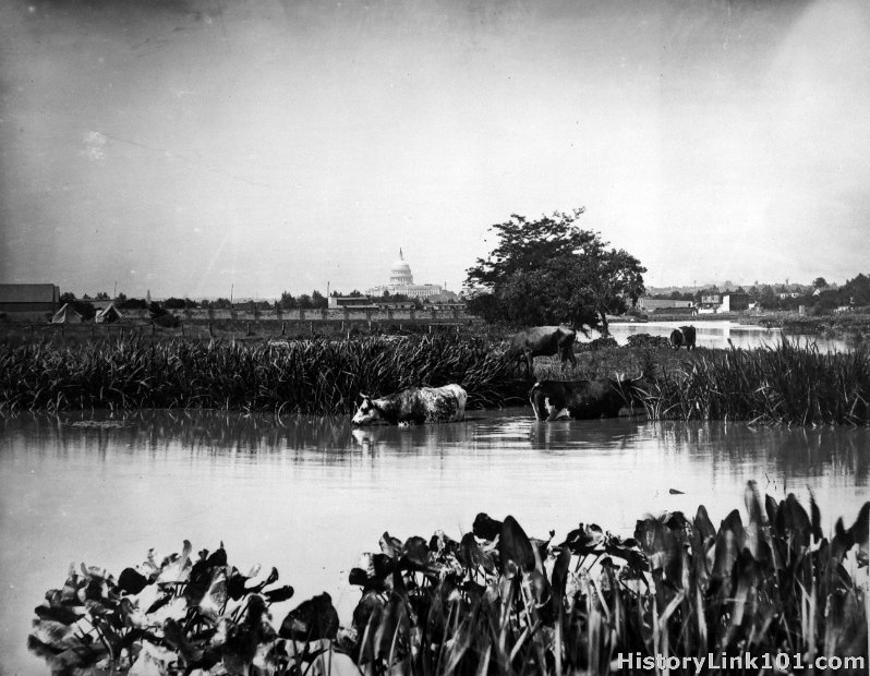 Scene in March on Anacostia River