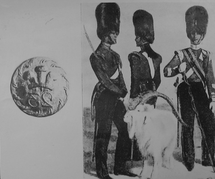 Uniform and Button 23rd Reg