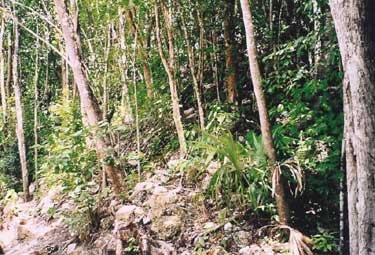 Ball Court Coba