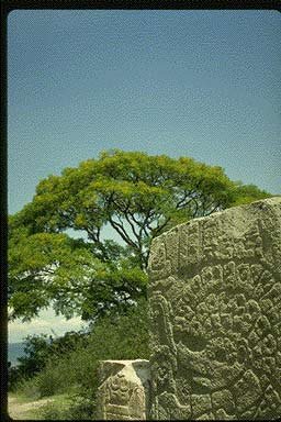 monte alban