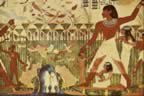 Ancient Egyptian Tomb Art