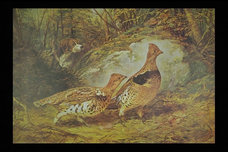  Arthur Fitzwilliam Tait