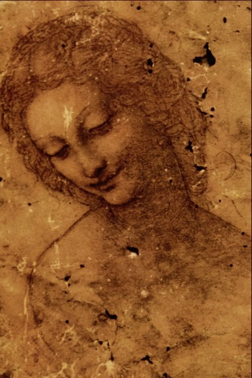Head of Leda