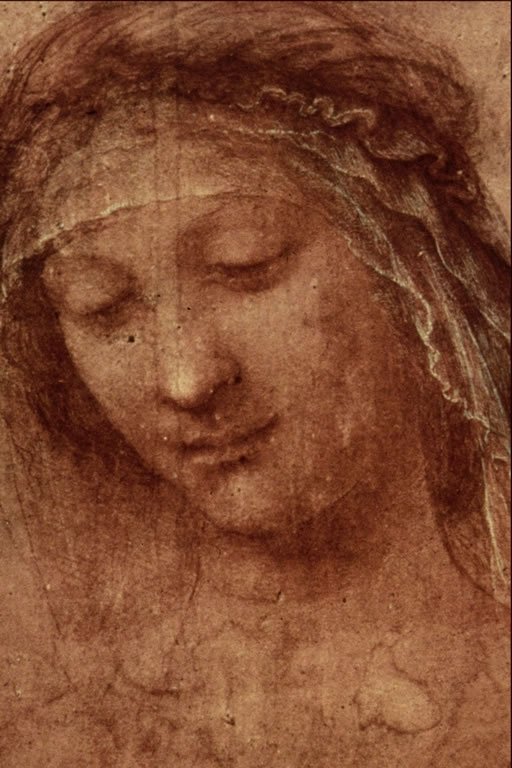 Study of a Womans Head