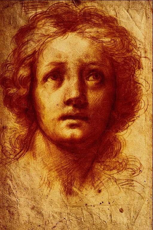  B. Franceschini