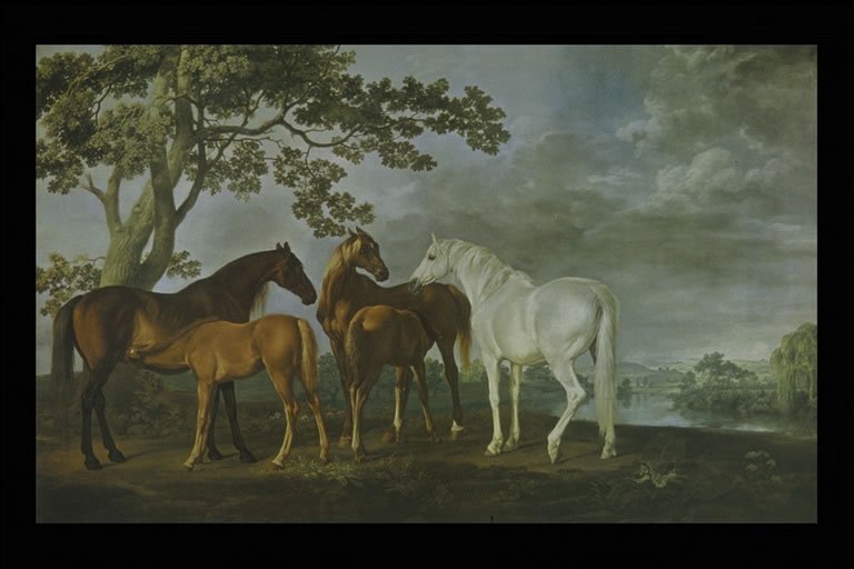  George Stubbs