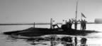 IMG_6456_s2a.jpg (41kb)