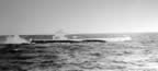IMG_6997_s2.jpg (41kb)