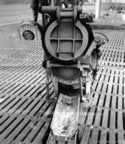 IMG_6251_e2.jpg (85kb)