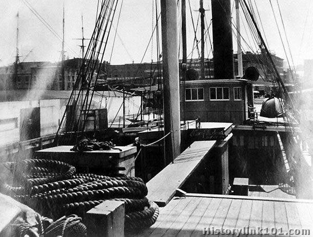 Star of the South deck view