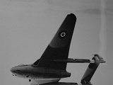 IMG_7718_e3.jpg