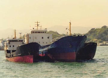freight ships anchored in harbor