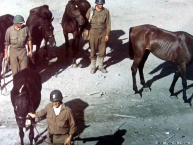 Royalty Free Pictures of World War II 