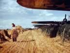 B-17 Bomber during World War II