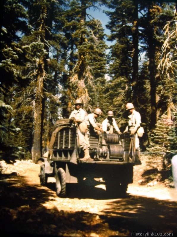 Royalty Free Pictures of World War II 