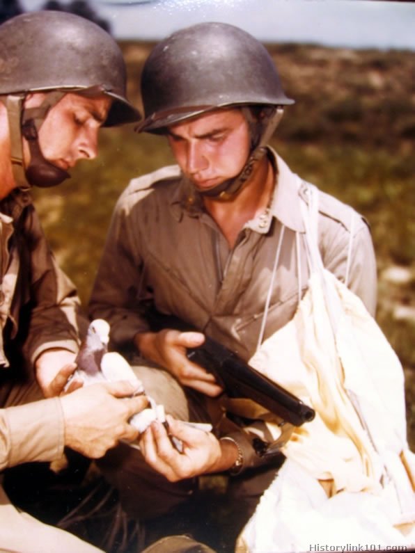 Royalty Free Pictures of World War II 