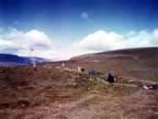 IMG_1044.jpg (107kb)