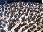 IMG_1683.jpg (120kb)
