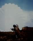 PICT1303.jpg (36kb)