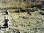 IMG_2005.jpg (134kb)