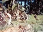 IMG_2451.jpg (120kb)