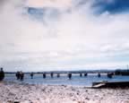 PICT0711.jpg (63kb)