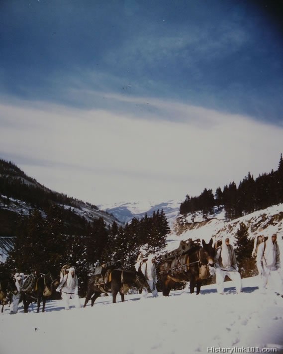 Royalty Free Pictures of World War II 