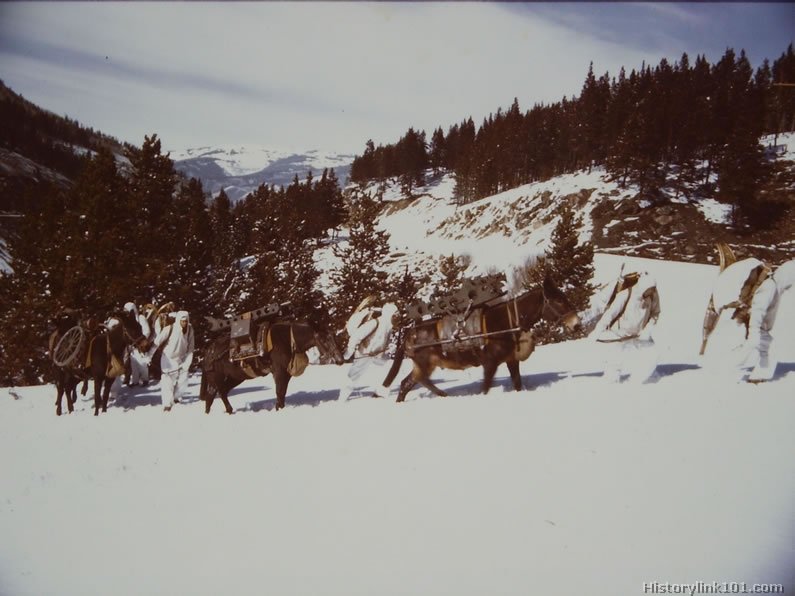 Royalty Free Pictures of World War II 