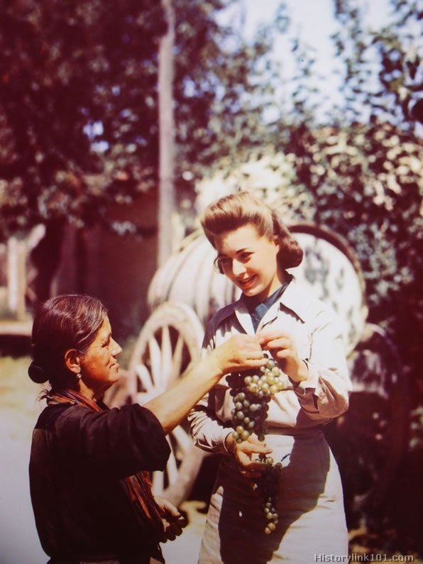 Royalty Free Pictures of World War II 