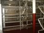 Royalty Free Picture of Battleship North Carolina's Sleeping_Bunks_3.jpg (57kb)