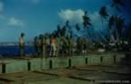 1307.jpg (66kb)