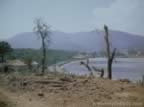 1939.jpg (52kb)