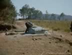 1942.jpg (63kb)