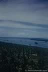 1995.jpg (36kb)