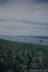 1997.jpg (46kb)