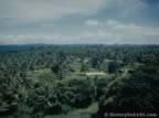 1999.jpg (61kb)