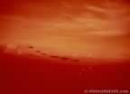 2208.jpg (18kb)