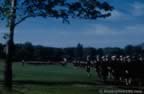 2479-46.jpg (63kb)
