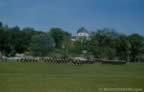2479-50.jpg (55kb)