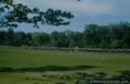 2479-51.jpg (63kb)