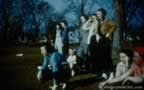 2479-52.jpg (68kb)