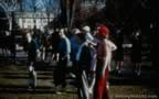 2479-53.jpg (79kb)