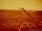 2509.jpg (49kb)