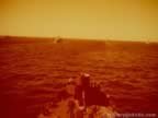 2510.jpg (46kb)