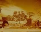 2804.jpg (65kb)