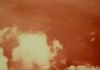 3647.jpg (25kb)