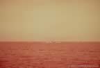 3809.jpg (31kb)