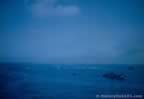 3834.jpg (20kb)